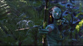 Woodsprite dances on Neytiri's bow