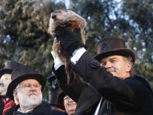 Punxsutawney Phil on Groundhog Day